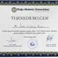 Resmi büyüt: certificate 18