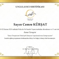 Resmi büyüt: certificate 9