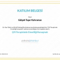 Resmi büyüt: certificate 6