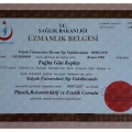 Resmi büyüt: certificate 26