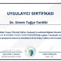Resmi büyüt: certificate 10