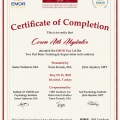 Resmi büyüt: certificate 2