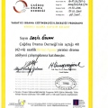 Resmi büyüt: certificate 27