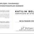 Resmi büyüt: certificate 3
