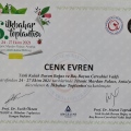 Resmi büyüt: certificate 24