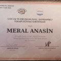 Resmi büyüt: certificate 3