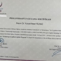 Resmi büyüt: certificate 9
