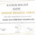 Resmi büyüt: certificate 9