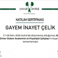 Resmi büyüt: certificate 37
