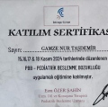 Resmi büyüt: certificate 10