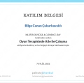 Resmi büyüt: certificate 16