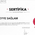 Resmi büyüt: certificate 4