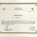 Resmi büyüt: certificate 9