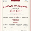 Resmi büyüt: certificate 1