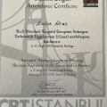 Resmi büyüt: certificate 21