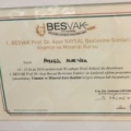 Resmi büyüt: certificate 19