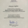 Resmi büyüt: certificate 6