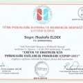 Resmi büyüt: certificate 2