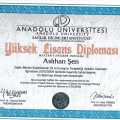 Resmi büyüt: certificate 1
