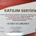 Resmi büyüt: certificate 20