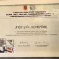Resmi büyüt: certificate 29