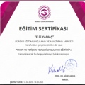 Resmi büyüt: certificate 7