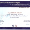 Resmi büyüt: certificate 45