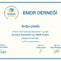 Resmi büyüt: certificate 5