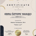 Resmi büyüt: certificate 1