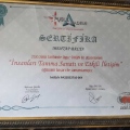 Resmi büyüt: certificate 2