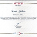 Resmi büyüt: certificate 30