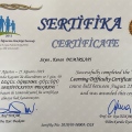 Resmi büyüt: certificate 4
