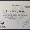 Resmi büyüt: certificate 4