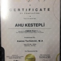 Resmi büyüt: certificate 6
