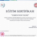 Resmi büyüt: certificate 1