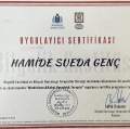 Resmi büyüt: certificate 10