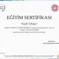 Resmi büyüt: certificate 1