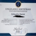 Resmi büyüt: certificate 15