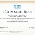 Resmi büyüt: certificate 2