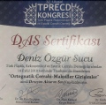 Resmi büyüt: certificate 7