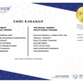 Resmi büyüt: certificate 1