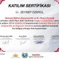 Resmi büyüt: certificate 9