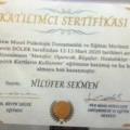Resmi büyüt: certificate 13