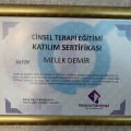 Resmi büyüt: certificate 30