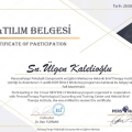 Resmi büyüt: certificate 12