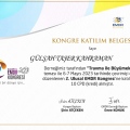 Resmi büyüt: certificate 3