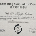 Resmi büyüt: certificate 2