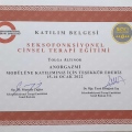 Resmi büyüt: certificate 13