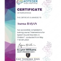 Resmi büyüt: certificate 17