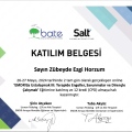 Resmi büyüt: certificate 21